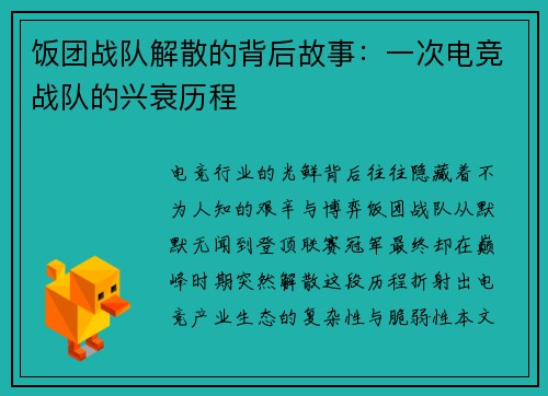 饭团战队解散的背后故事：一次电竞战队的兴衰历程